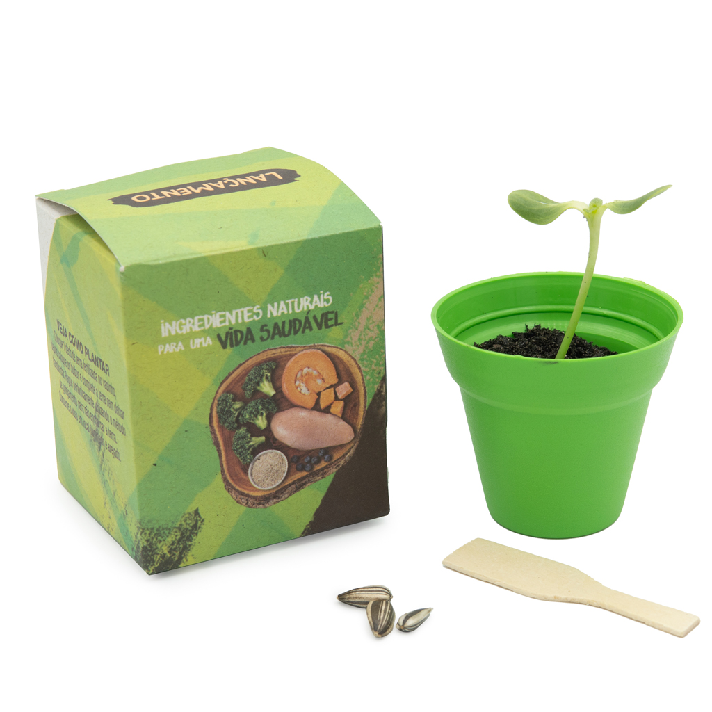 Ecobox Cultivo