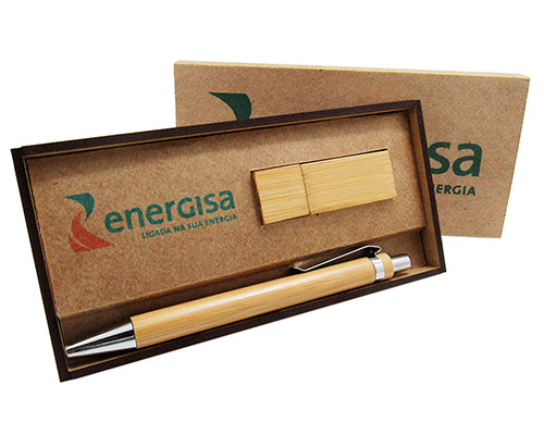 Caneta com Pen Drive Ecológico